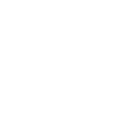 Compass-Icon-EDITED-white-250@50px-20sec