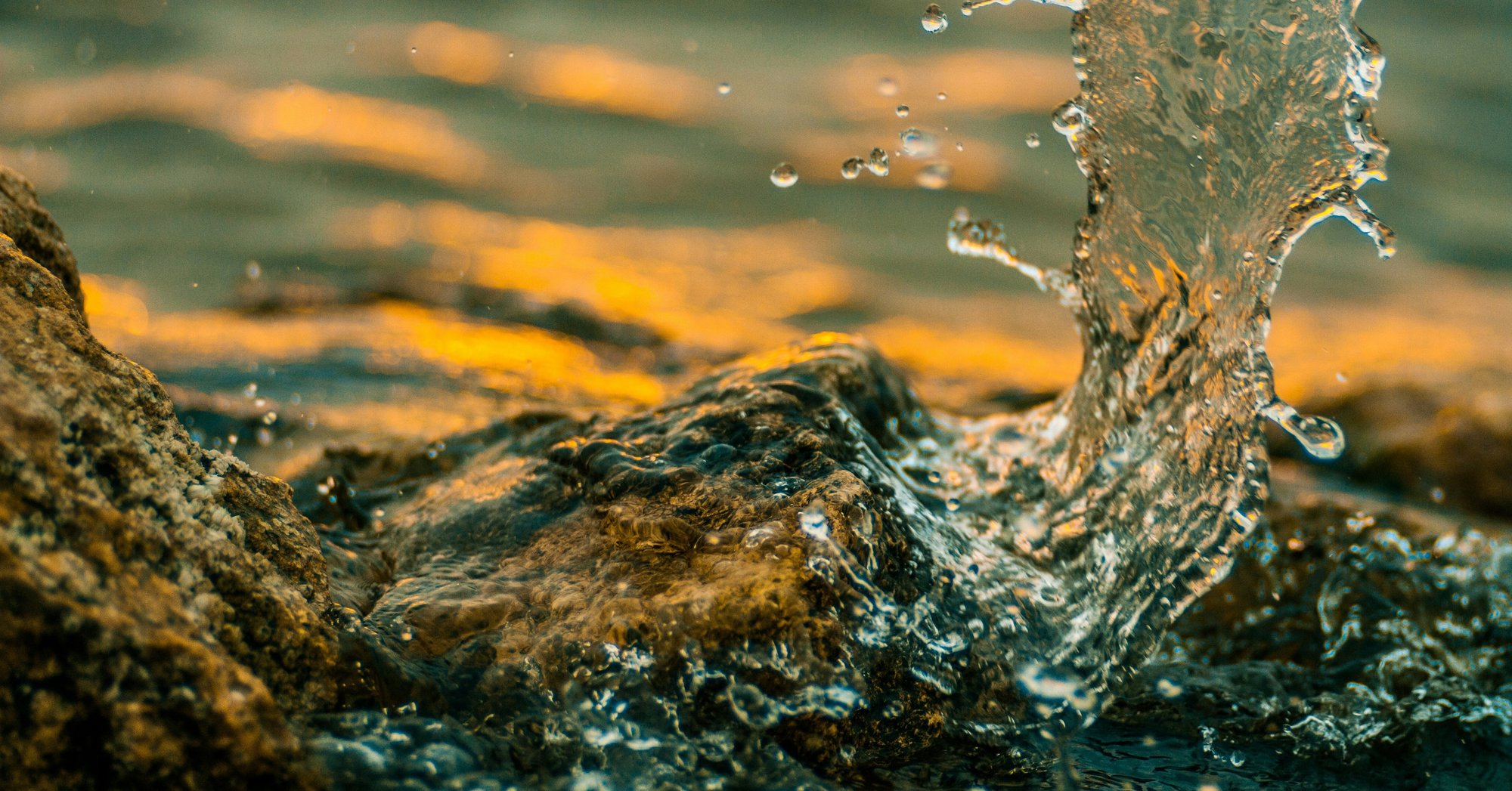 danil-shostak-TsZIXIXfOGU-unsplash