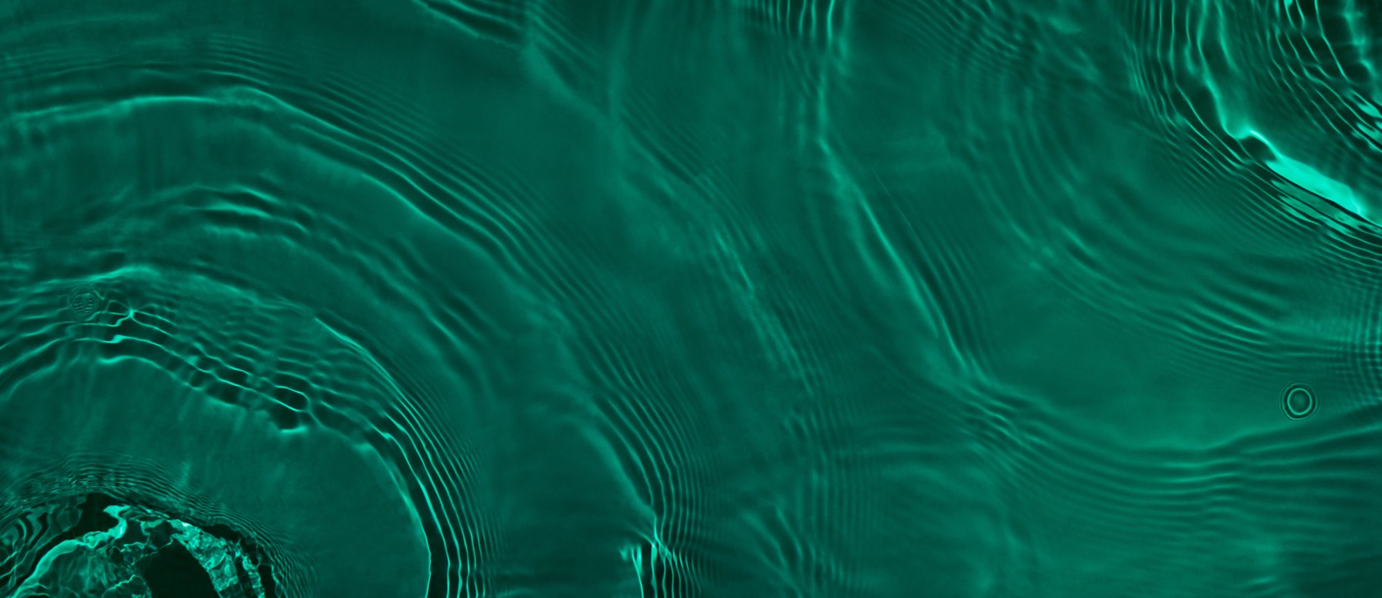 shutterstock_2155220115